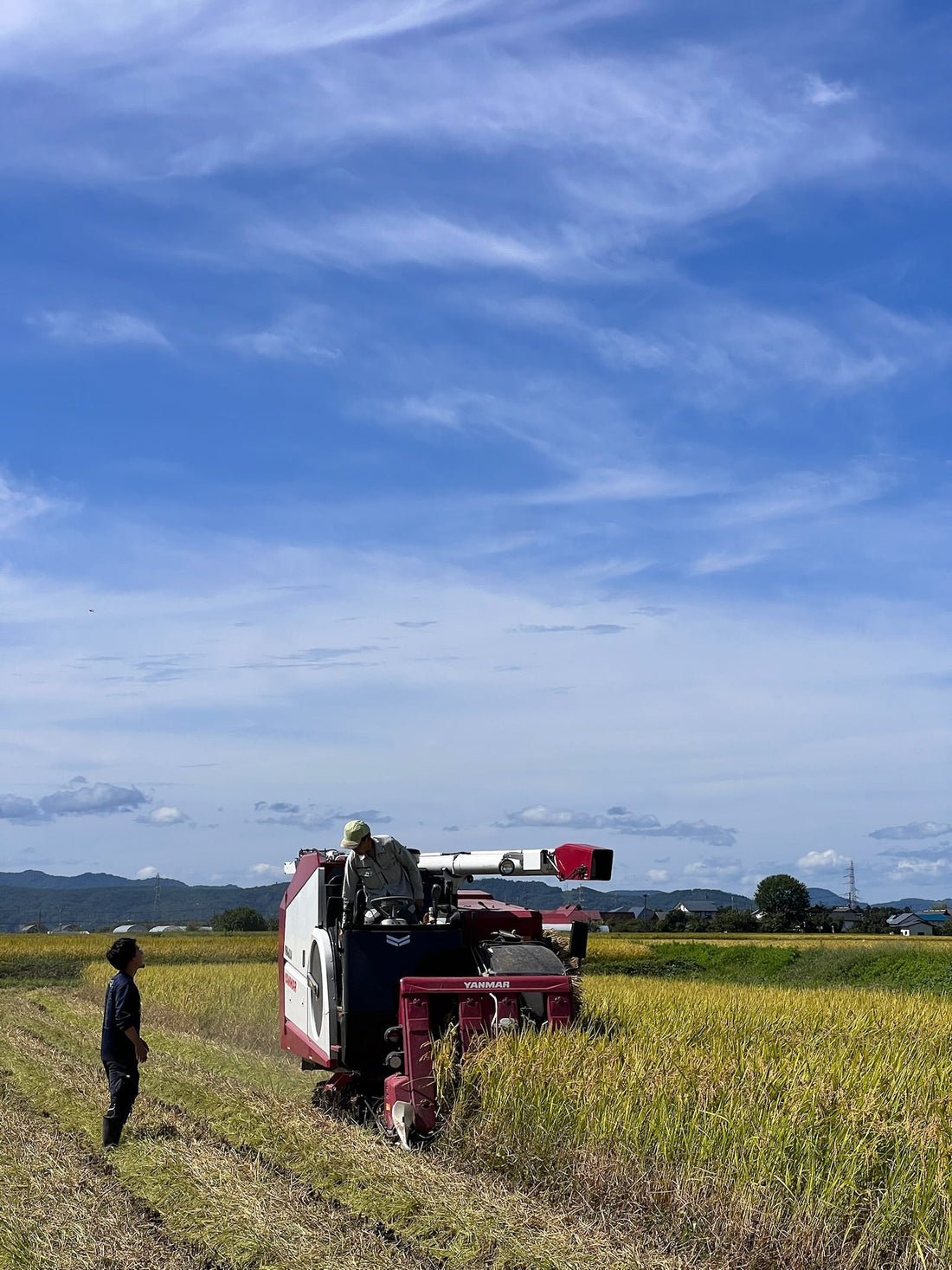 R7年産新米の収穫が始まりました。