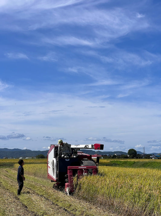 R7年産新米の収穫が始まりました。