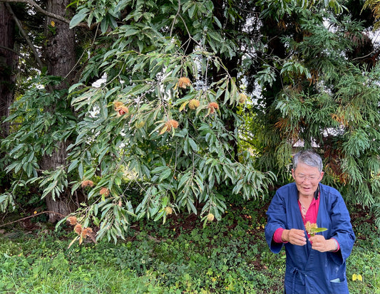 【私の無の思想】by 児島徳夫