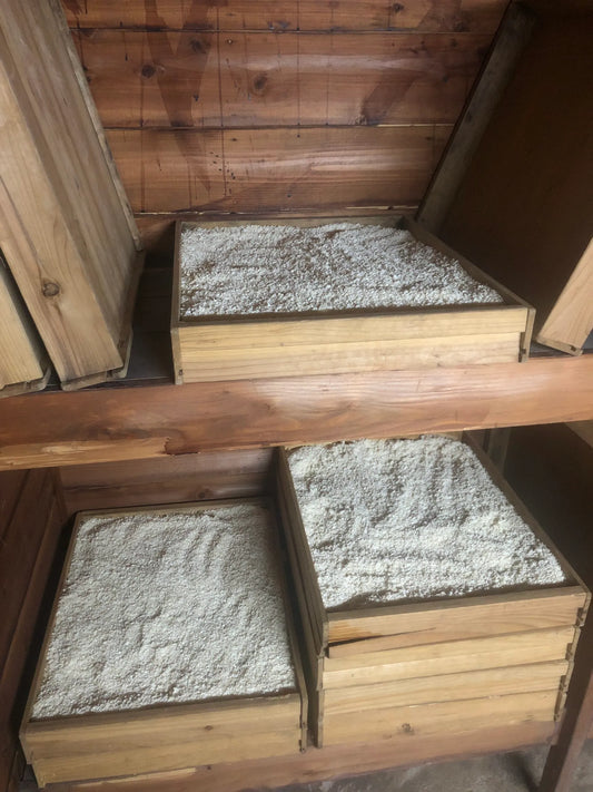 無の会の人は冬は何をやっているの？