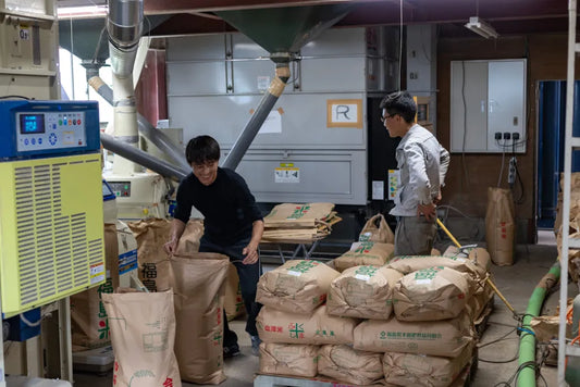 青羽くん（小説家）　後編